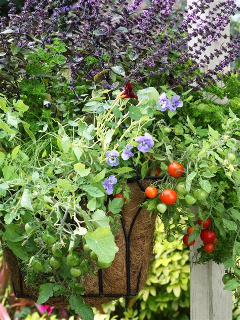 Looking For A Way To Make Your Kitchen Garden As Beautiful As It Is