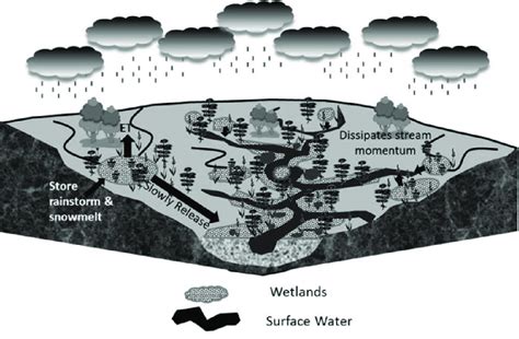 Figure B02 Diagram Showing Wetlands Flood Control Function Through