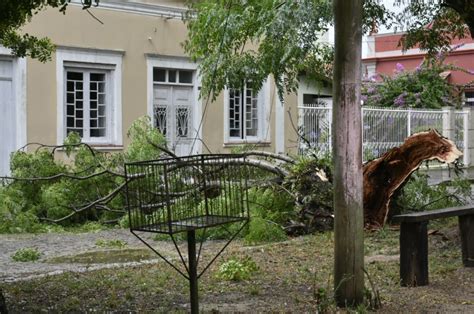 Temporal Derruba Rvores E Causa Estragos No Sul Do Estado