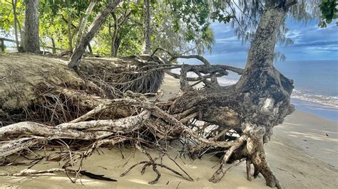 Holloways Beach Erosion Continued Despite 2m Groyne Build Townsville Bulletin