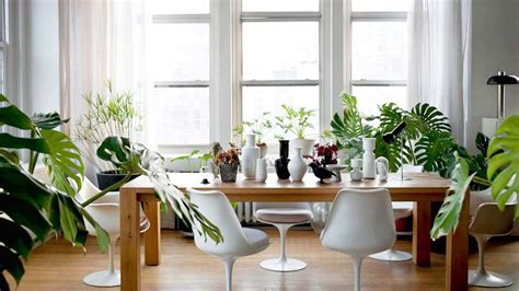 Questa pianta da appartamento cresce facilmente fino a due metri di altezza, riempiendo di verde la stanza. Piante Da Interno Pendenti / Piante finte da interno ...