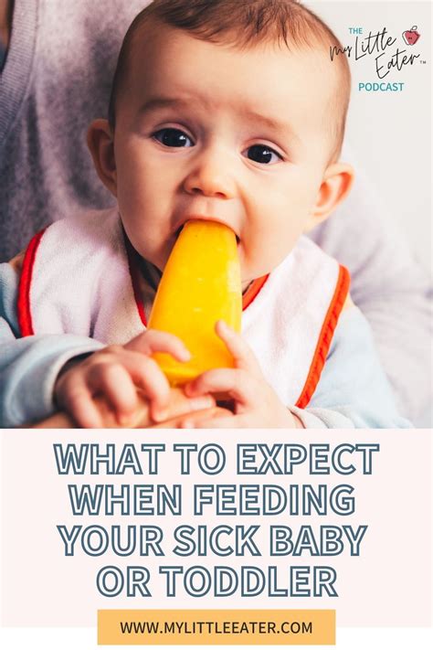 89 Feeding Your Sick Baby Toddler And What To Expect Artofit