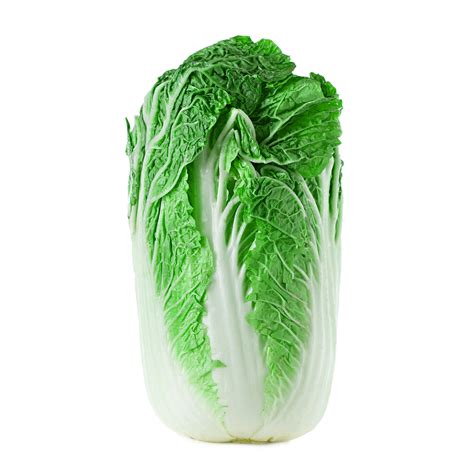 Napa Cabbage Chinese Korean Wombok Kimchi Hakusai Heirloom Premium Seed