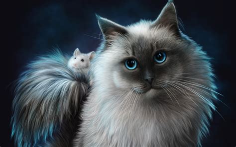 Cat And Mouse Cats Wallpaper 39100456 Fanpop