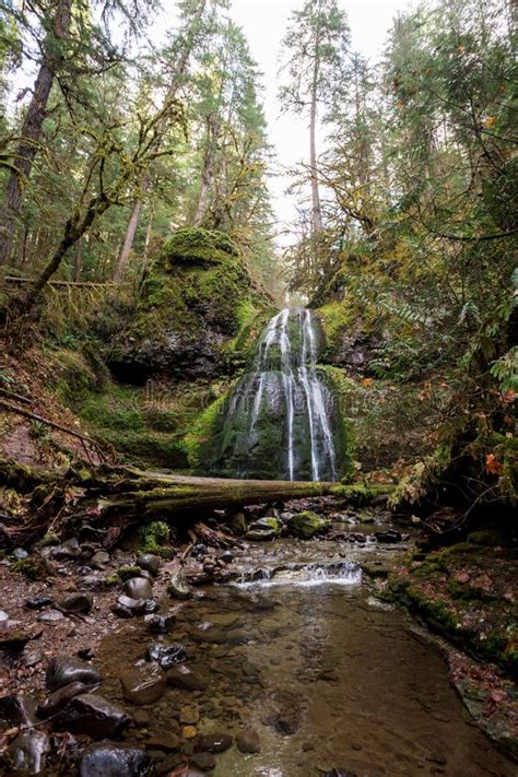 Spirit Falls Umpqua National Forest In Oregon Stock Photo Image Of
