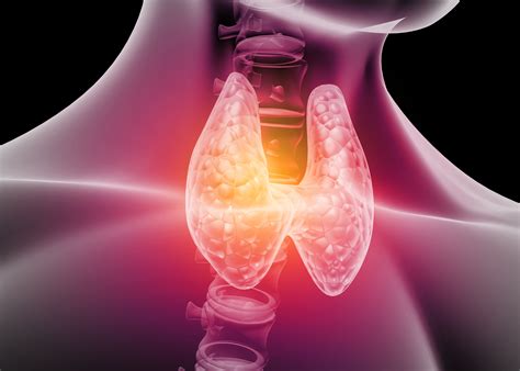 Fünf jahre später, also mit 40, schon bei 1:109. Lady.Health | Hyperthyreose beim PCO-Syndrom - Lady.Health