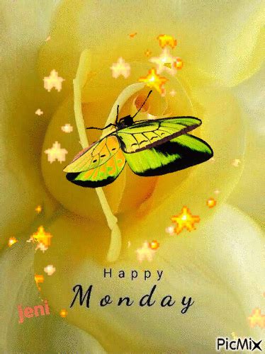 Yellow Butterfly Happy Monday  Pictures Photos And Images For