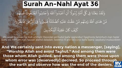 Surah An Nahl Ayat 36 16 36 Quran With Tafsir My Islam