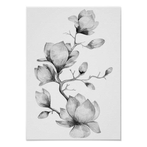 Black And White Watercolor Flowers Wall Art Poster Zazzle Black And