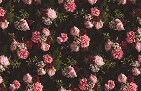 Create An Opulent Space With This Floral Photography Wallpaper A Dark