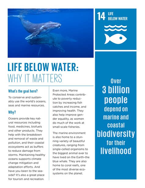 Life Below Water Why It Matters Clme Hub