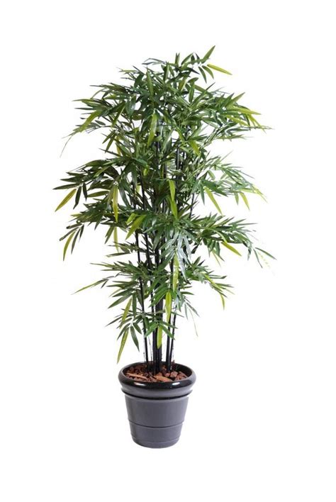 Artificial Bamboo Black Cane Type B 3 Sizes Artificial Plants Shop