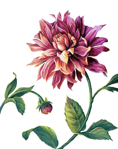 decoupage flower flower painting flower painting png flower pattern flower p | Flower painting ...
