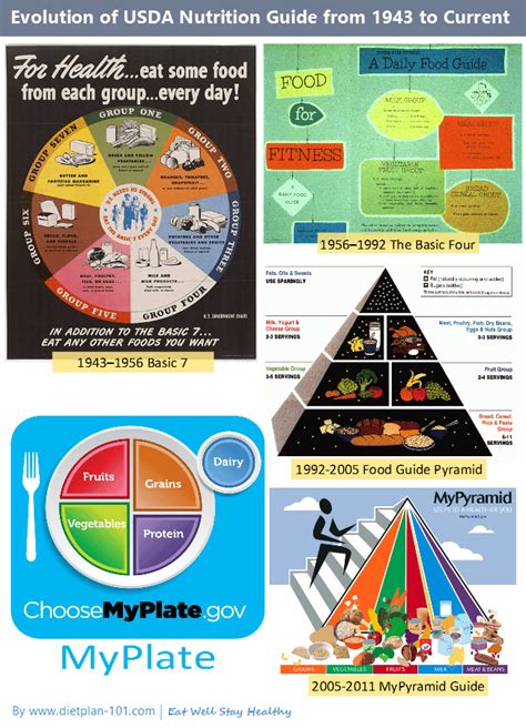 Protein from animal sources is the only group of foods that contain cholesterol. The Shortcomings of USDA MyPlate - Diet Plan 101