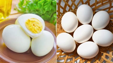 how to identify fake eggs and protect your health