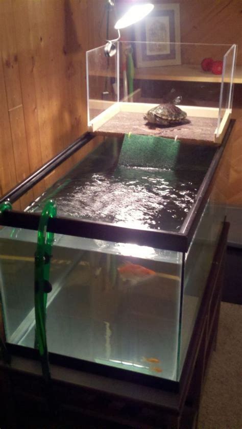 Pet Turtle A Diy Turtle Topper Above Tank Basking Platform Provides