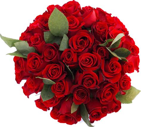 Goodinfo Beautiful Red Rose Bouquet Images