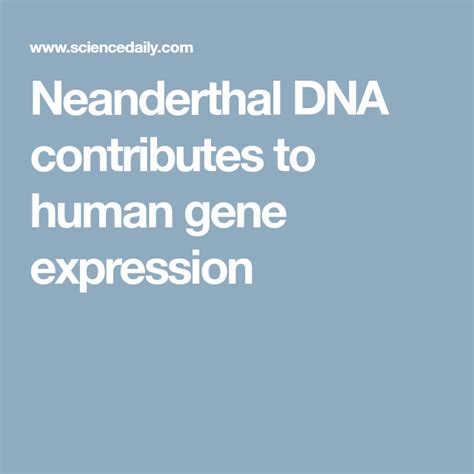 Neanderthal Dna Contributes To Human Gene Expression Gene Expression