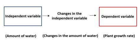 Independent Vs Dependent Variables Whats The Difference Statology