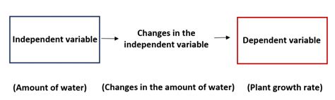 Variables Independientes Frente A Dependientes ¿cuál Es La Diferencia