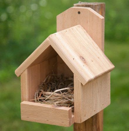 Decide on a suitable tree branch for your cardinal home. Robin Nest Box Plans - WoodWorking Projects & Plans