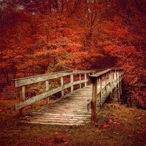 Old Walking Bridge Fall Foliage Autumn Leaves Old Bridges Leaves