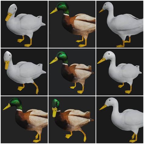 Duck Collection 3d Model Rigged And Low Poly Game Ready