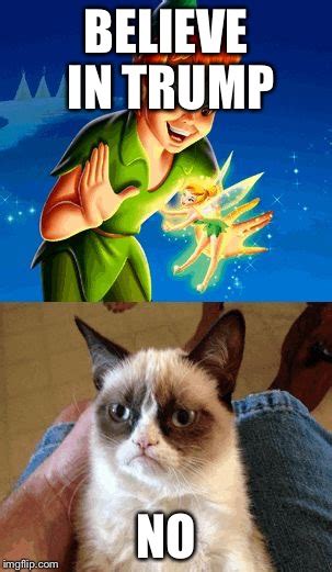 Grumpy Cat Does Not Believe Meme Imgflip