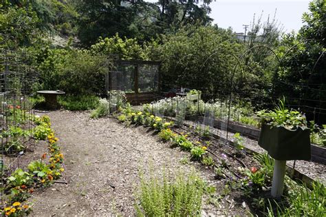 The Environmental Advantages of a Home Veggie Garden | Earth 1 | Carry