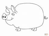 Pig Coloring Guinea Cute Drawing Pot Bellied Printable Supercoloring Template sketch template