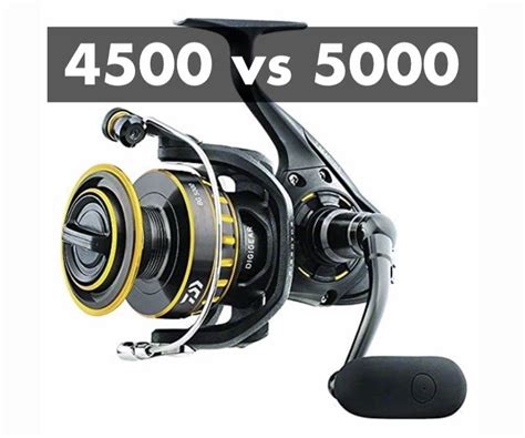 Daiwa BG 4500 Vs 5000 4 Important Differences