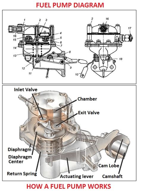 Fuel Pump Diagram Car Anatomy In Diagram