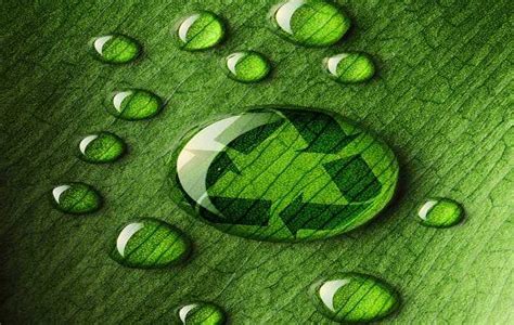 Amazon has just published its timelined commitment to ensure that by 2022 all of the company's private label clothing will not. India : Birla Cellulose CanopyStyle audit results released ...