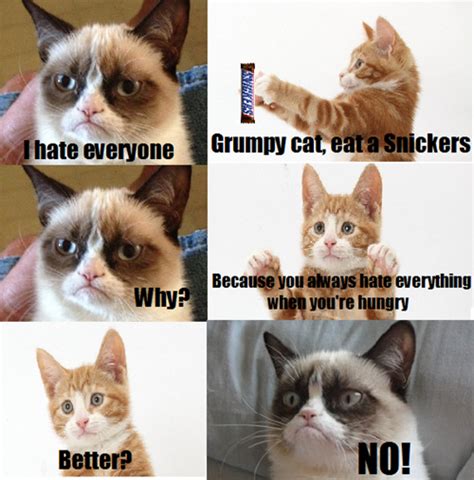 Have A Snickers Grumpy Cat Grumpy Cat Grumpycat Humor