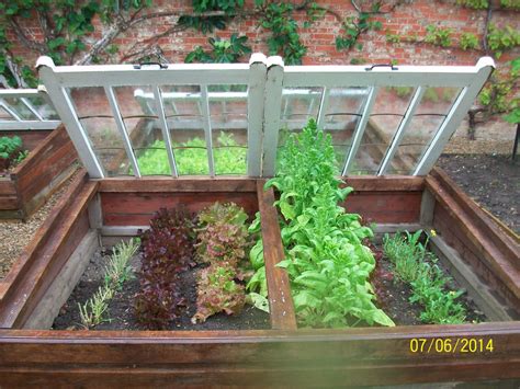 Cold Frame Could Upcycle Old Sash Windows Small Courtyard Gardens