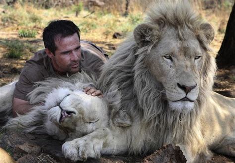 Meet Kevin Richardson The Lion Whisperer Animaux Sauvages Animaux