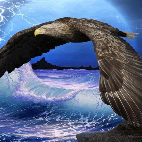 Rising Above The Waters Of This Storm ♥ Eagles ♥ Pinterest