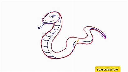 Snake Drawing Draw Anaconda Rattle Simple Step