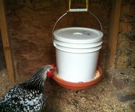homemade gravity chicken feeder sustainable scientist
