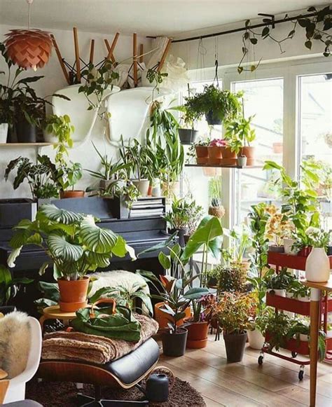 You Can Never Have Too Many Green Apartment Apartment Garden