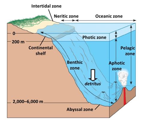 Aquatic Microbiology Vii Horizontal Zonation Ocean Stratification
