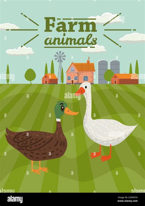 Duck And Goose Are Farm Animals Rural Landscape Background Vector
