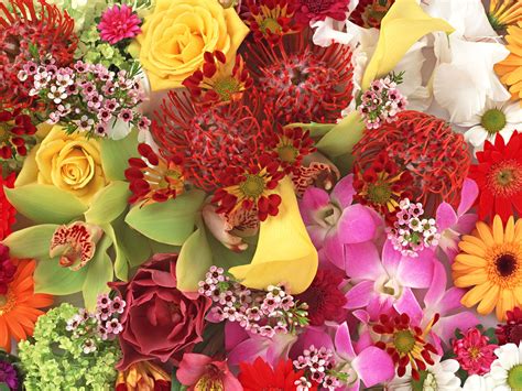 75 Flower Bouquet Wallpaper Wallpapersafari