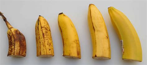 What Banana Is Right For You The Banana Ripening Process The Produce
