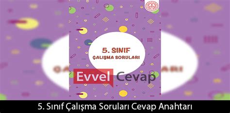 S N F Al Ma Sorular Cevap Anahtar