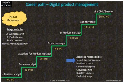 What Are The Career Paths Available To A Product Owner