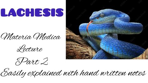 Lachesis Part 2 Materia Medica Lecture Explain Easily With Hand