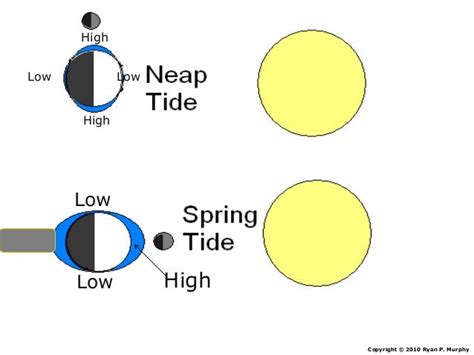 Tides Neap Tide Spring Tide Astronomy Lesson Powerpoint