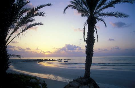 A Perfect Day On Djerba Tunisias Island Of Coexistence Lonely Planet