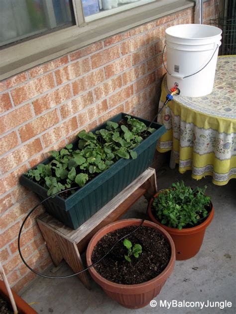 13 Diy Options For A Drip Irrigation System To Save You